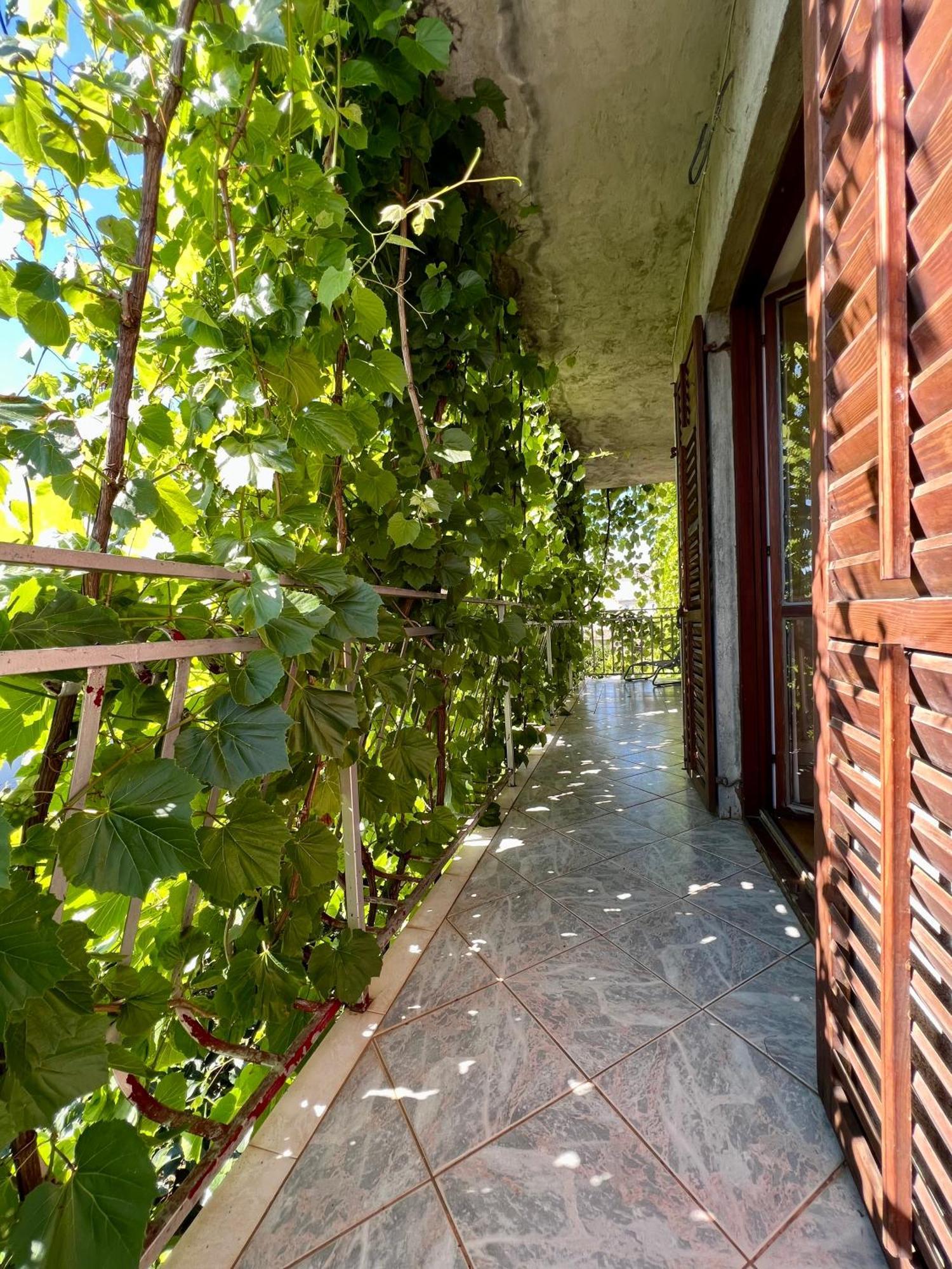 Vodice Center Apartments 객실 사진